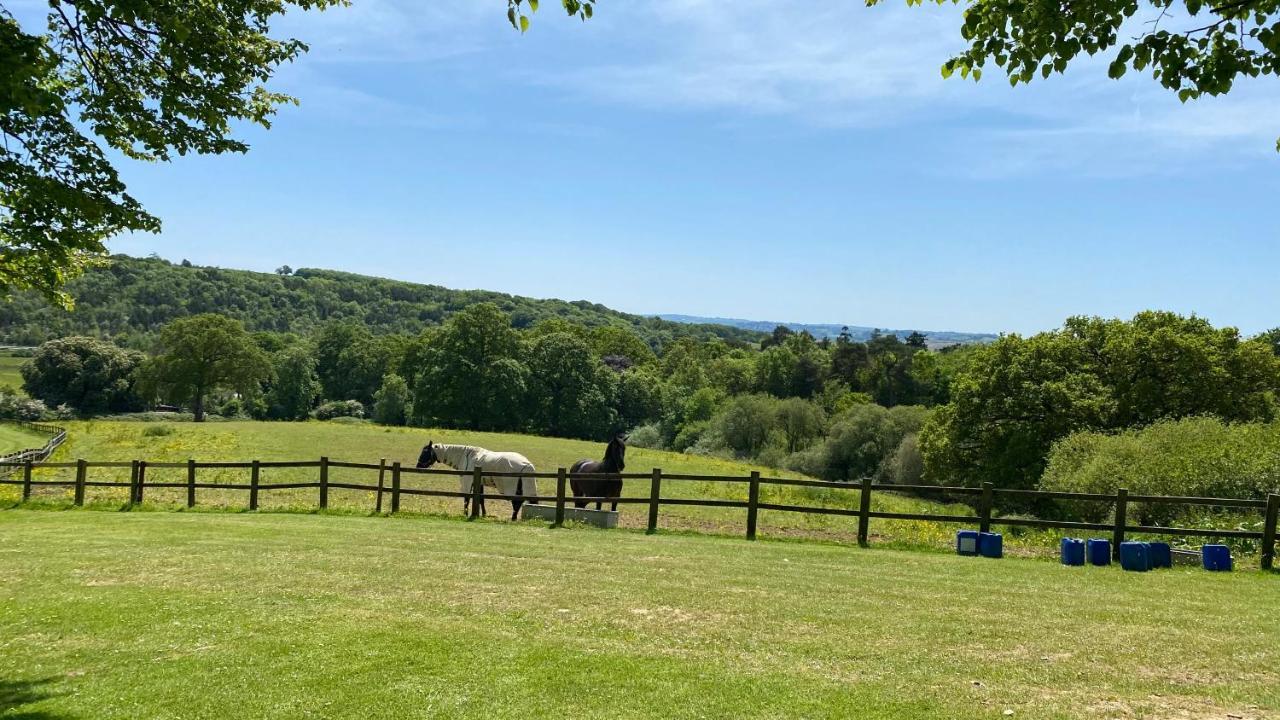 Spacious Primrose Lodge For 6 With Hot Tub At A Spa Resort Chudleigh Esterno foto